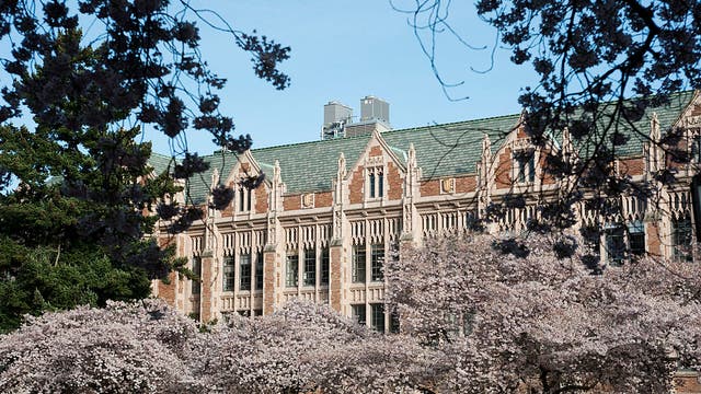 UW researchers create new low-carbon concrete with seaweed