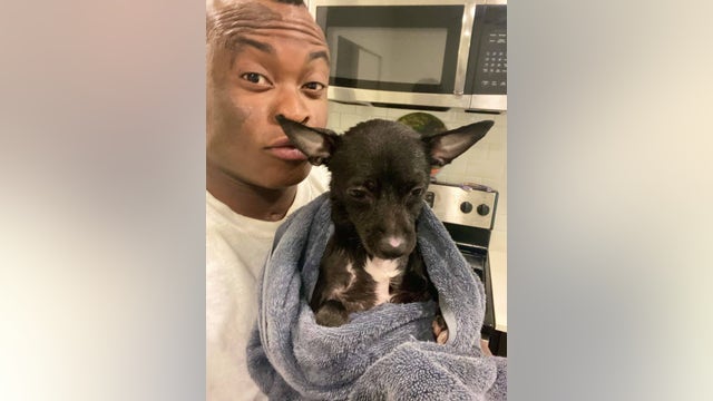 Kirkland man searching for dog allegedly stolen by date