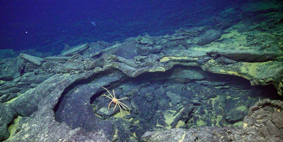 Underwater volcano poised to erupt off OR coast, Seattle scientists say