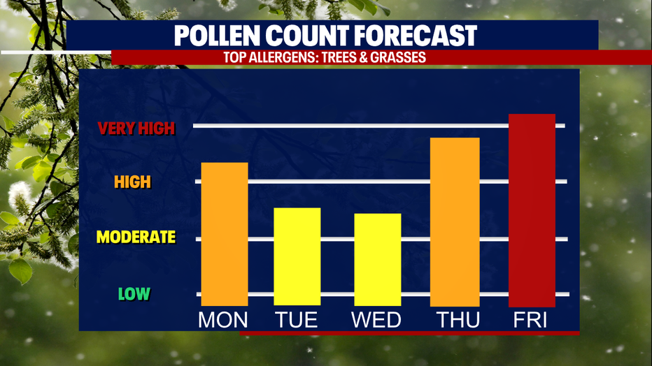 A graph showing the pollen count forecast in the Seattle area.