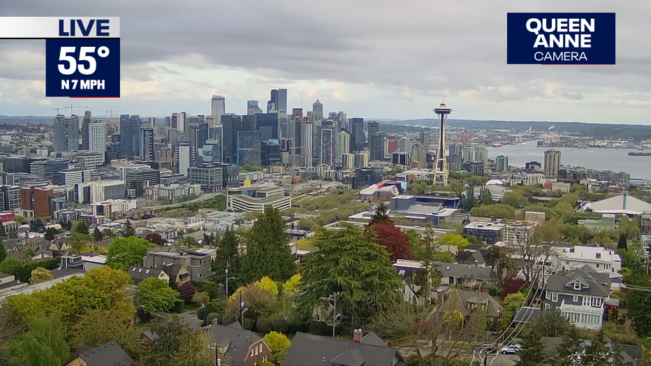Seattle View