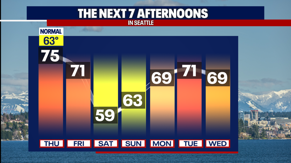Next 7 afternoons