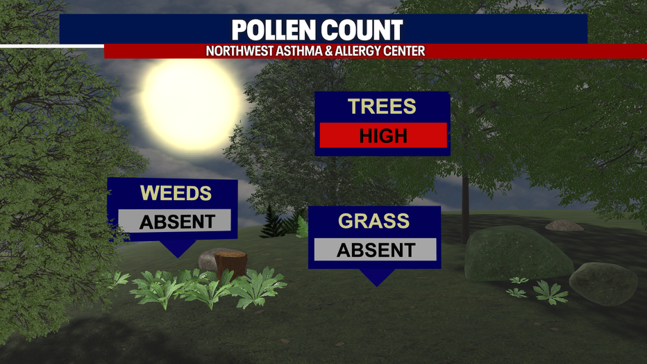 Due to mild and dry weather, the pollen count is increasing in Seattle.