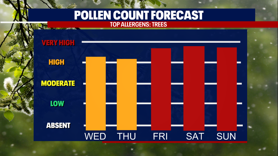 A graph showing the forecasted pollen count in Seattle.