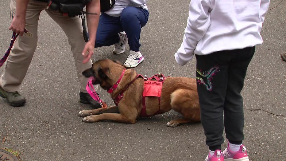 Kitsap County search dogs