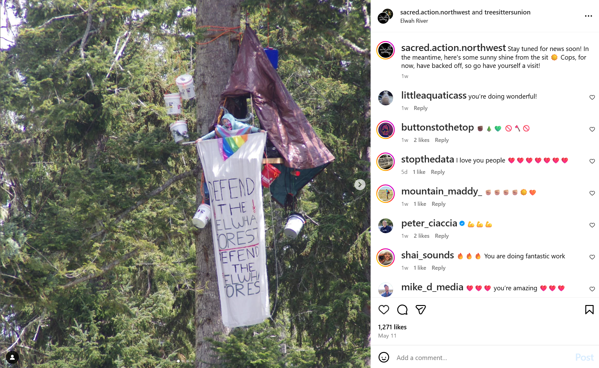 Tree-sitter enters third week in Olympic Foothills | FOX 13 Seattle