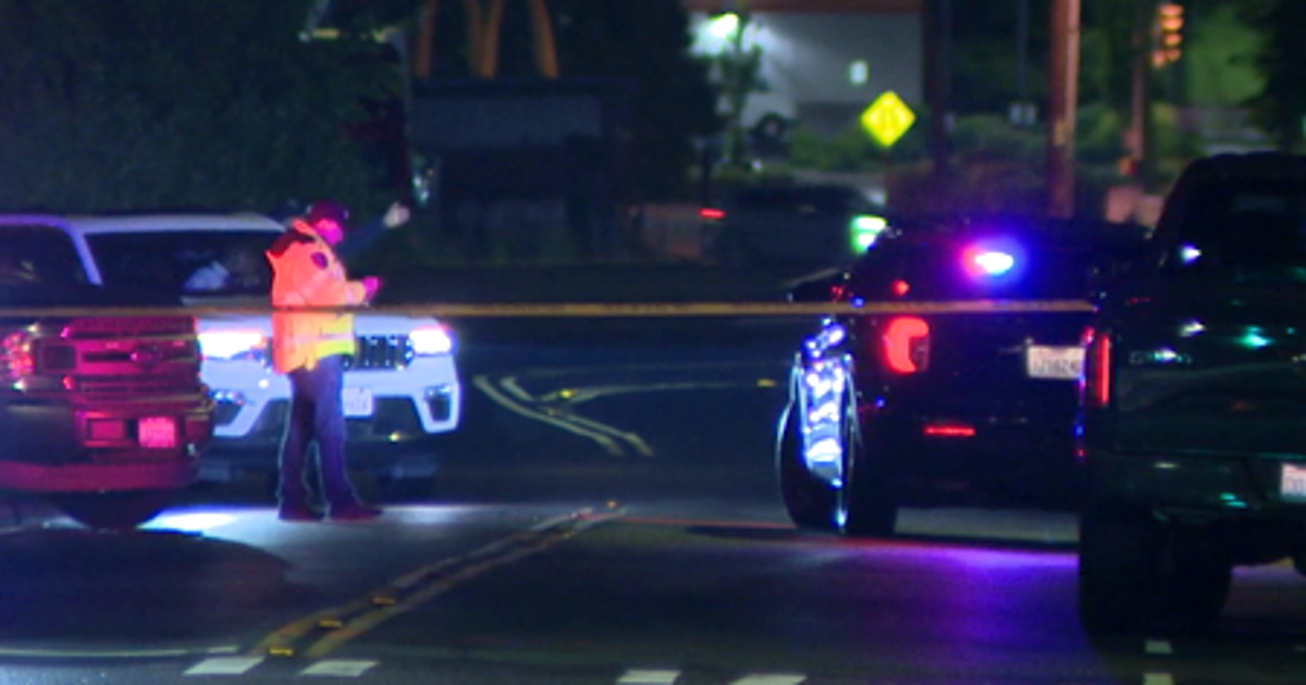 Pedestrian struck, killed by car in Seattle's South Park neighborhood ...