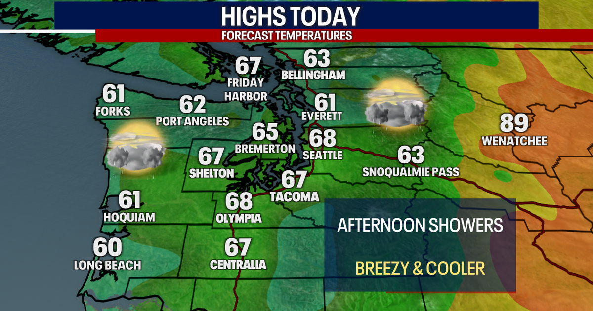 Damp weather Saturday afternoon in Seattle | FOX 13 Seattle