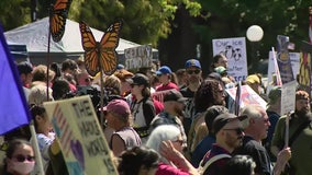 May Day protesters in Seattle rally over immigration, workers' rights