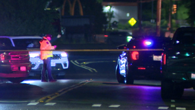 Pedestrian struck, killed by car in Seattle's South Park neighborhood