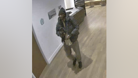 Search for stolen Kirkland dog continues after arrest made in case