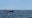 Coast Guard suspends search for fishing boat captain near Westport, WA
