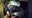 VIDEO: Dramatic arrest of WA mother carrying toddler, stolen gun
