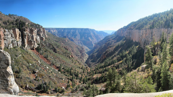 Olympia, WA man dies at Grand Canyon after lengthy hike