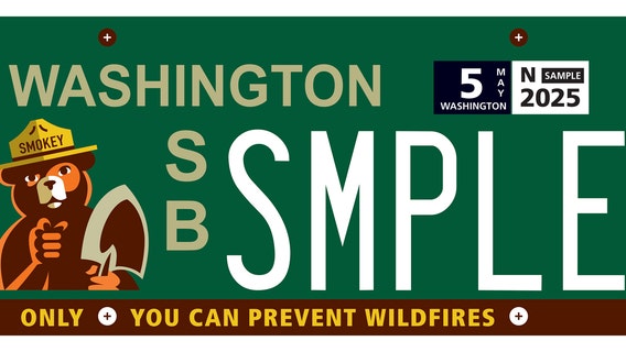 Smokey Bear license plate coming to WA to help fund wildfire prevention