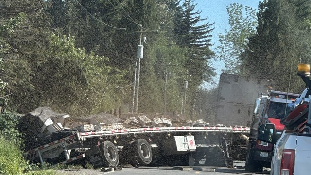 14 million bees escape when truck overturns in Whatcom County, WA