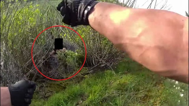 K9 helps deputies arrest WA man accused of dousing woman with gasoline