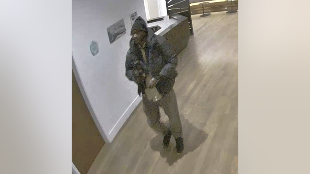 Search for stolen Kirkland dog continues after arrest made in case