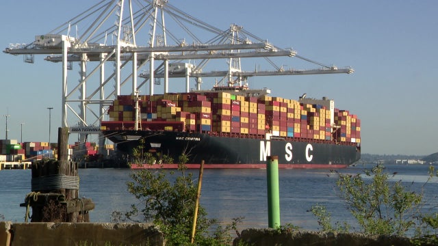 New Port of Seattle data reveals spike in void sailings, drop in truck traffic