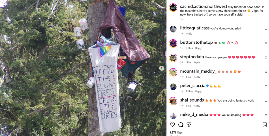 Activist marks 2 weeks in tree to protest logging near Port Angeles, WA