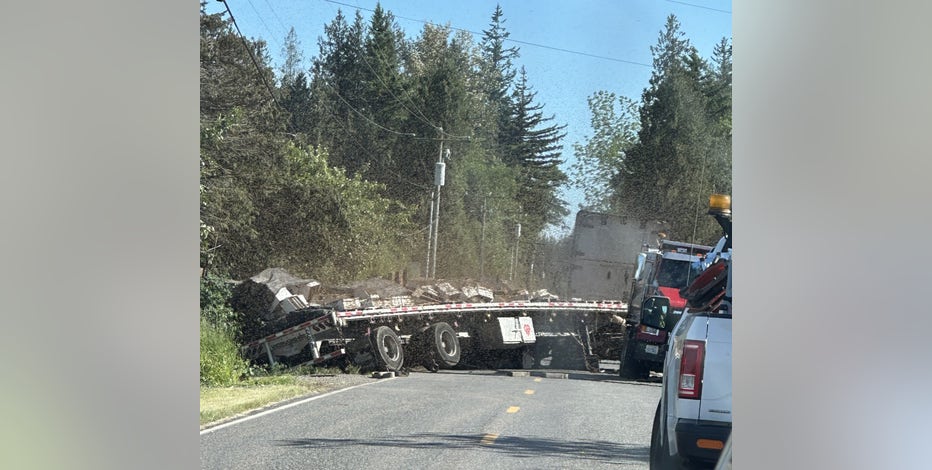 14 million bees escape when truck overturns in Whatcom County, WA
