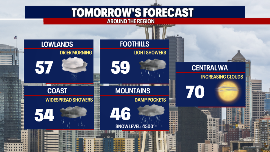 Area Forecast