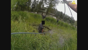 WA deputy uses lasso to arrest suspect with chainsaw