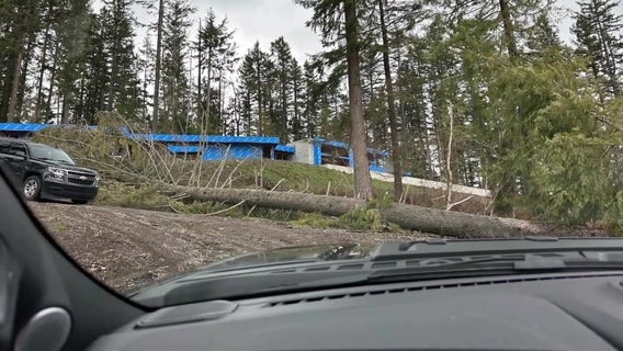 Homeowner sued by King County says tree cutting was about safety, not views