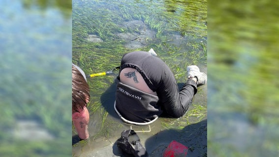 WATCH: TikTok video of woman digging for geoduck in WA goes viral
