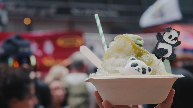 Everything you need to know about Panda Fest Seattle