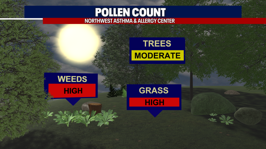 A graphic showing the pollen count forecast Tuesday.