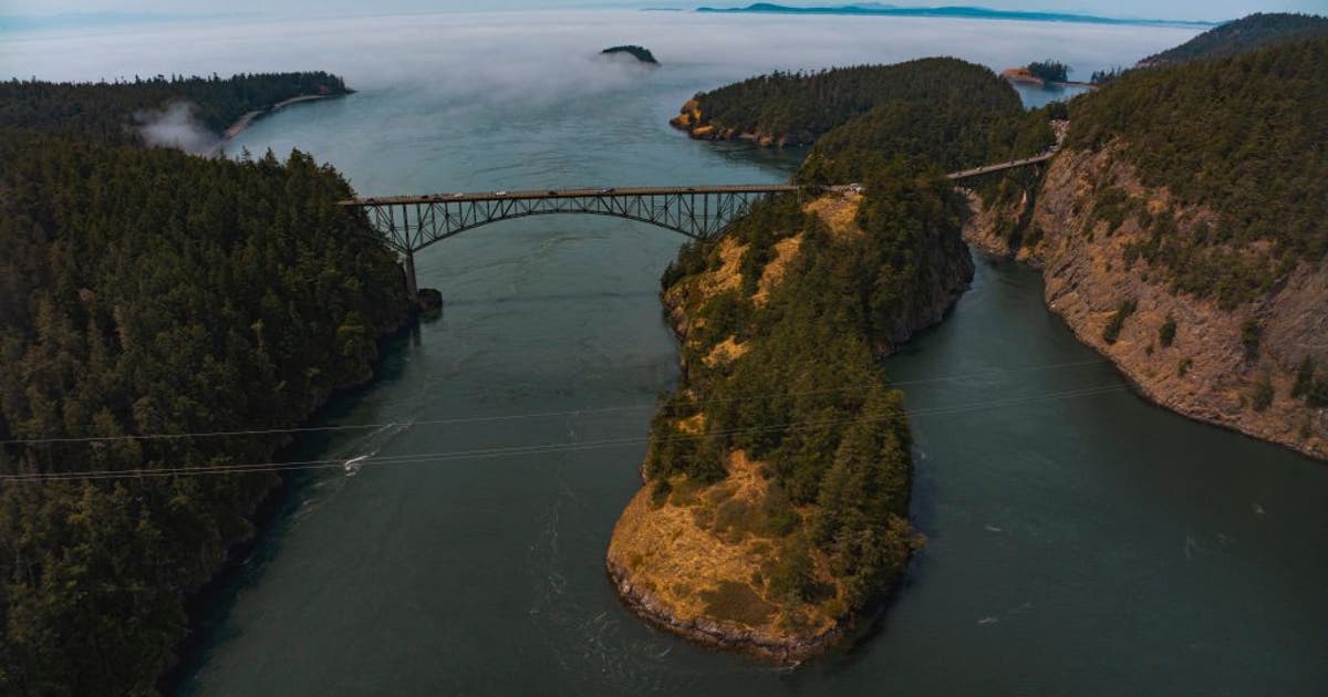 Canadian runner struck, killed by driver on Whidbey Island | FOX 13 Seattle