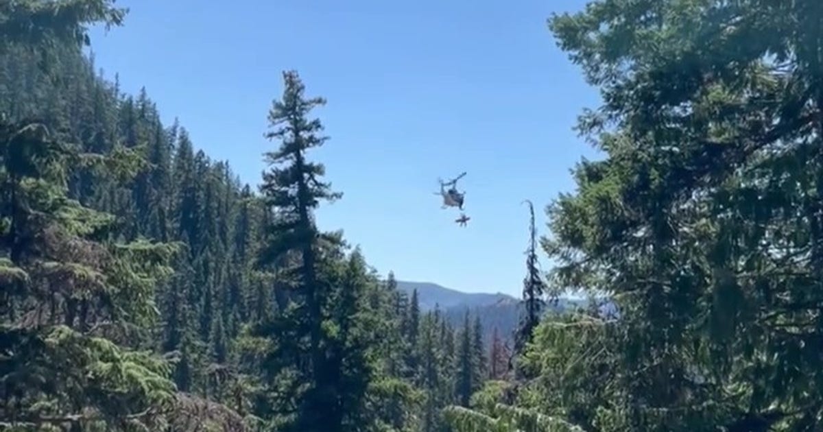 Seattle man rescued from WA ravine after 'Help' 911 text | FOX 13 Seattle