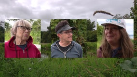 WA wildlife officials investigate bear sighting report at Golden Gardens Park