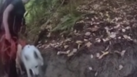 Dog rescues Tacoma, WA man trapped on cliff in Point Defiance Park