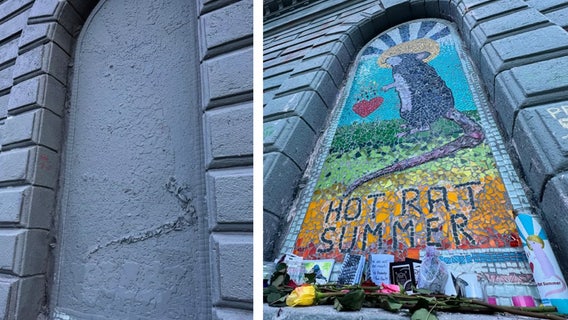 What is 'Hot Rat Summer'? The story behind Seattle's disputed mosaic