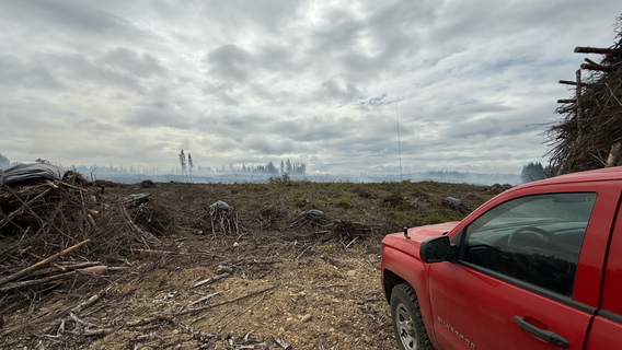 Evacuation levels reduced for Toonerville Fire near Belfair, WA