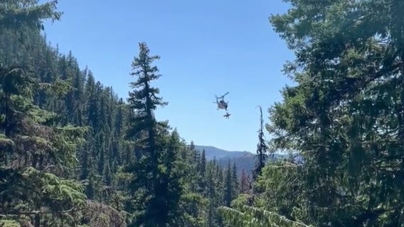 Seattle man rescued from WA ravine after 'HELP' 911 text