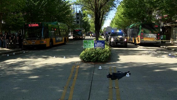 Court docs: Video shows man swinging PVC pipe before Renton, WA transit station shooting