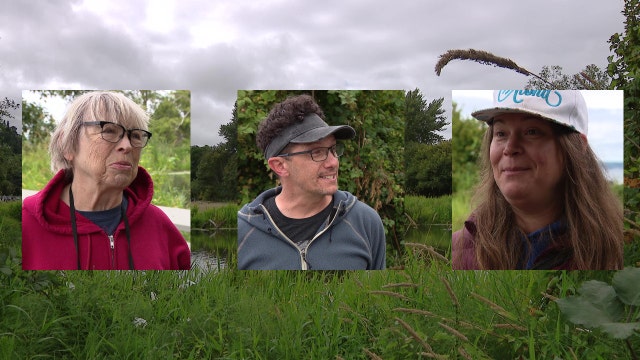 WA wildlife officials investigate bear sighting report at Golden Gardens Park