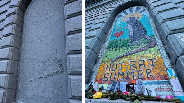 What is 'Hot Rat Summer'? The story behind Seattle's disputed mosaic