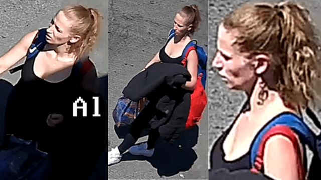 Seattle police arrest woman in deadly SODO stabbing