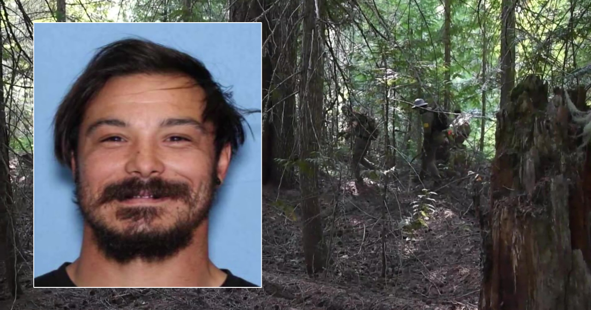 Bones found during FBI's Travis Decker search in WA forest | FOX 13 Seattle