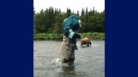 Bear charges Seattle Kraken mascot Buoy