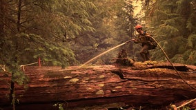 Where are the fires in WA? Here's a map of the wildfires burning across the state