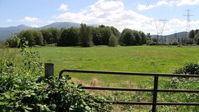 Governor Ferguson could have final say on controversial battery energy facility