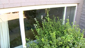 Federal Way, WA car explosion damages nearby homes