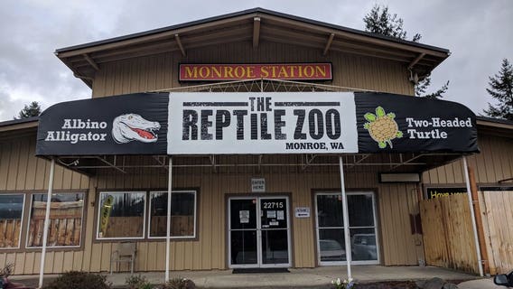 Reptile Zoo to close in Monroe, WA after 30 years