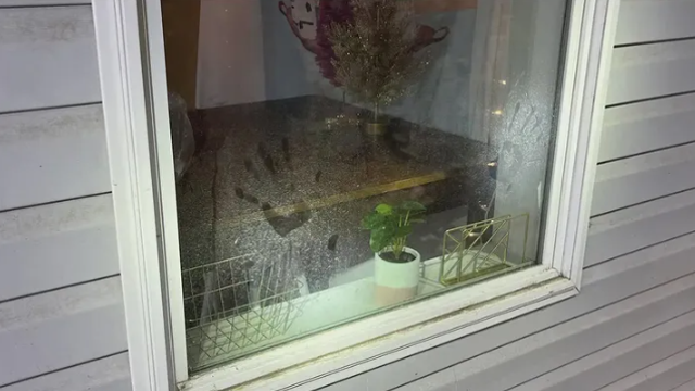 Idaho murders crime scene photos reveal bloody aftermath of attack