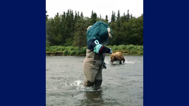 Bear charges Seattle Kraken mascot Buoy